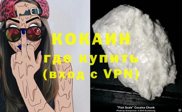 стафф Алзамай